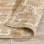 Reposa Oriental Area Rug