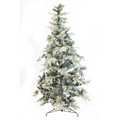 Pine Christmas Tree