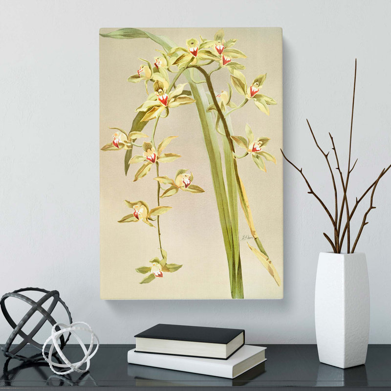 Magnolia Flowers Illustration Tab. 53 by Frederick Sander - Wrapped Canvas, 91cm H x 60cm W x 3cm D