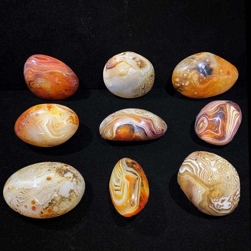 Palmier de sardonyx