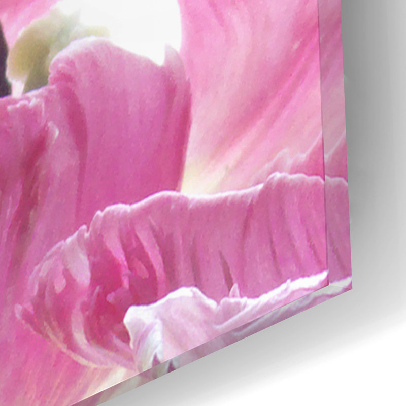 «Parrot Tulips» par Judy Stalus, H 12 po x l 12 po x P 0,13 po
