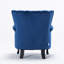 Cadsden Velvet Wingback Chair-38292146