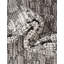 Tapis Gurjot-342746393