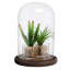 Pot de cloche en verre