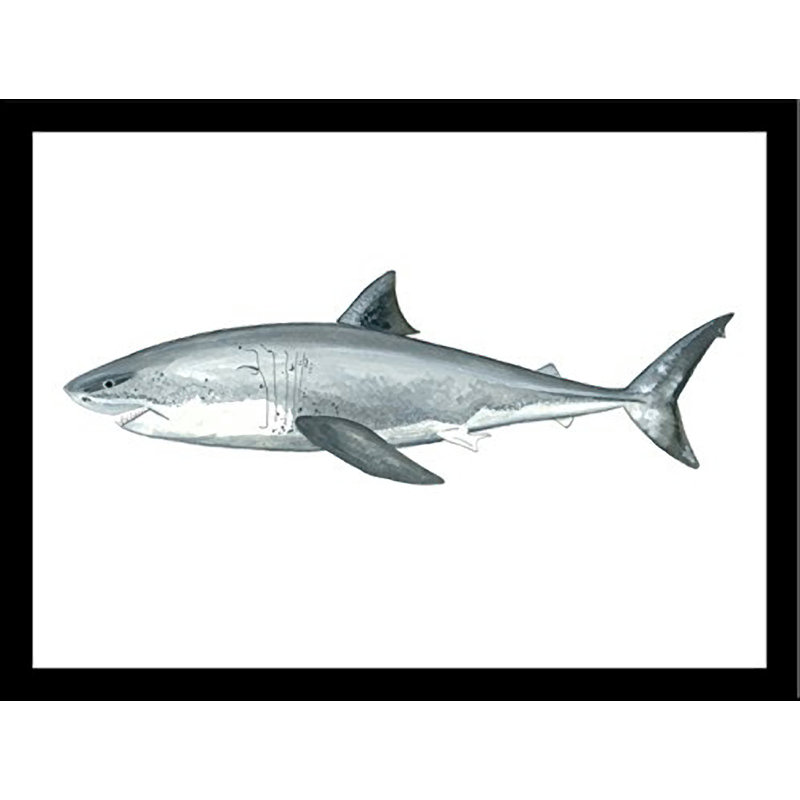 «Shark», reproduction de peinture à l'huile encadrée, Gris, H 18,5 po x l 22,5 po