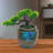 Rahmeek Weather Resistant Fountain with Light