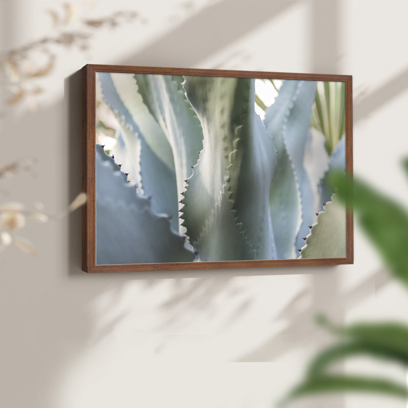 Agave bleue II - reproduction encadrée, H 8 po x l 10 po, Noyer