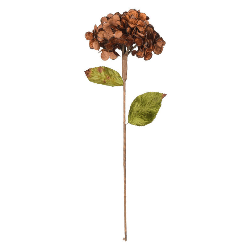 Tige d'hortensia Vickerman, Brun
