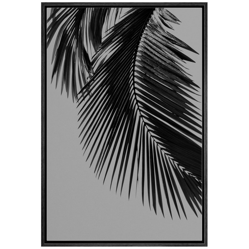«Hanging Palm Leaf - Floater Frame», photographie sur toile tendue, Cadre noir, H 24 po x l 16 po x P 1,5 po