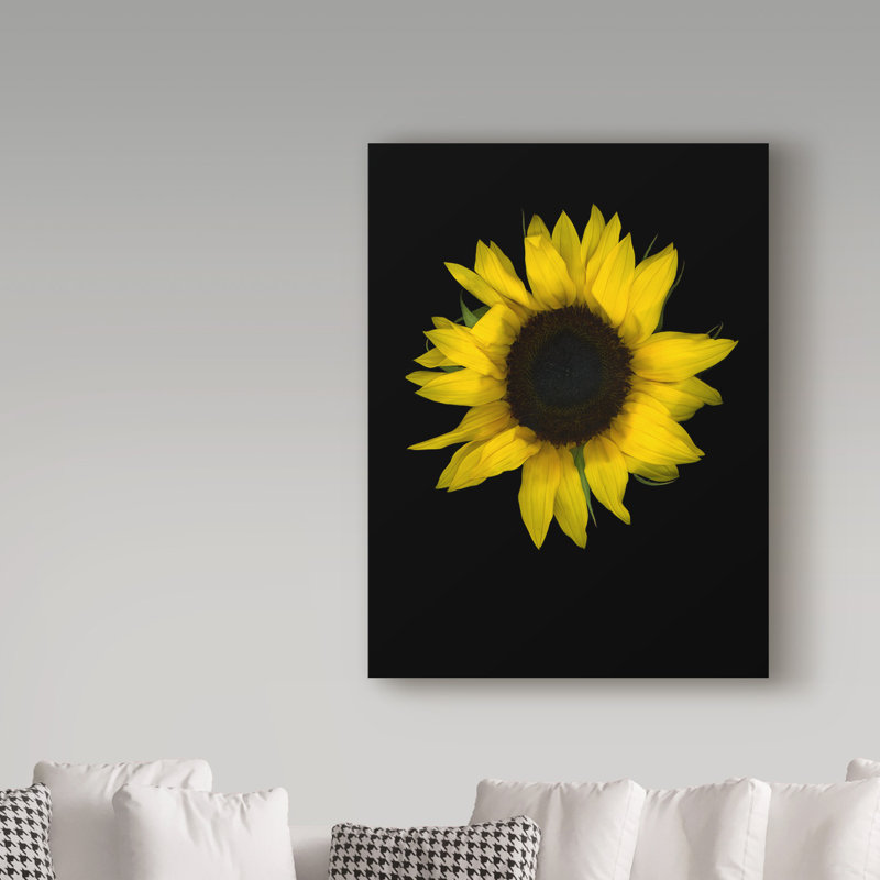 Dosta «Sunflower 1», impression sur toile tendue, H 19 po x l 14 po x P 2 po