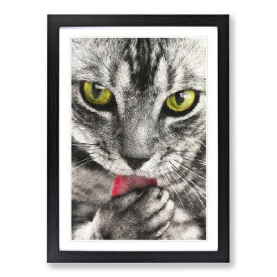 Portrait of a Cat Vol.9 - Picture Frame Painting