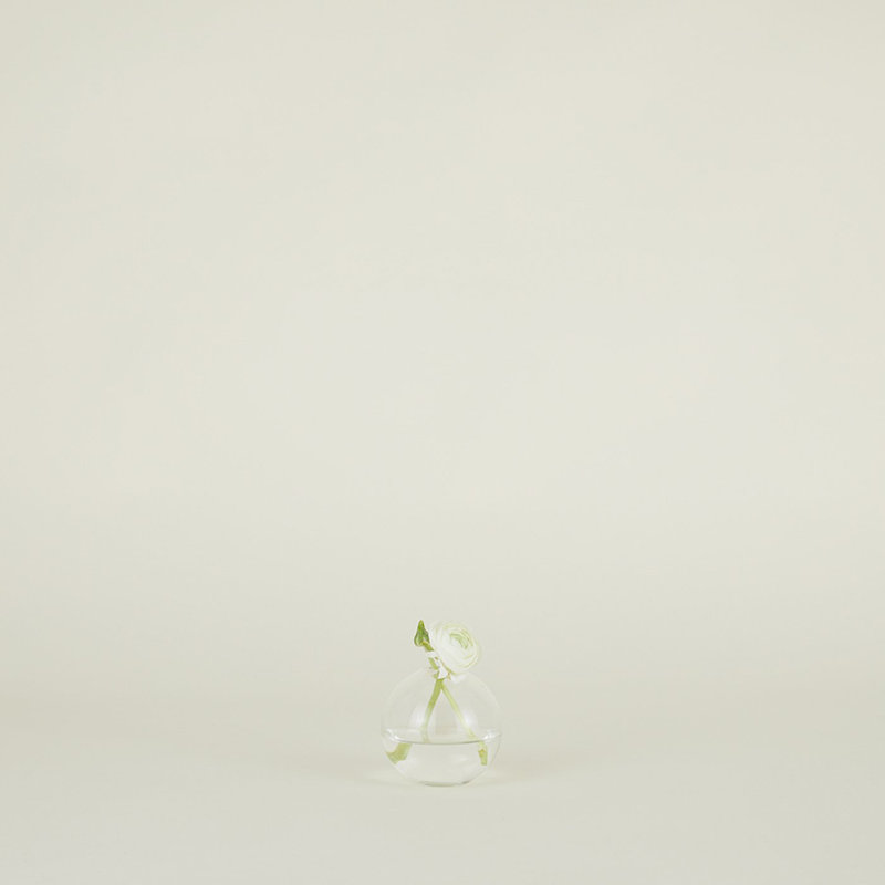 Aurora Clear Handblown Glass Sphere Table Vase
