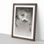 Monkey on a Bamboo Branch by Ohara Koson - Picture Frame Painting Print-55610335-55610339