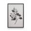 «Botanical V» par Deborah Revell, reproduction d'art sur toile-2113579645-2113579643-2113579531