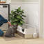 Stainless Steel Litter Box with Scoop