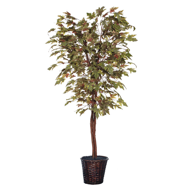 Arbre de feuillage de sol en panier