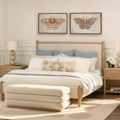 Nexis Bed Cream