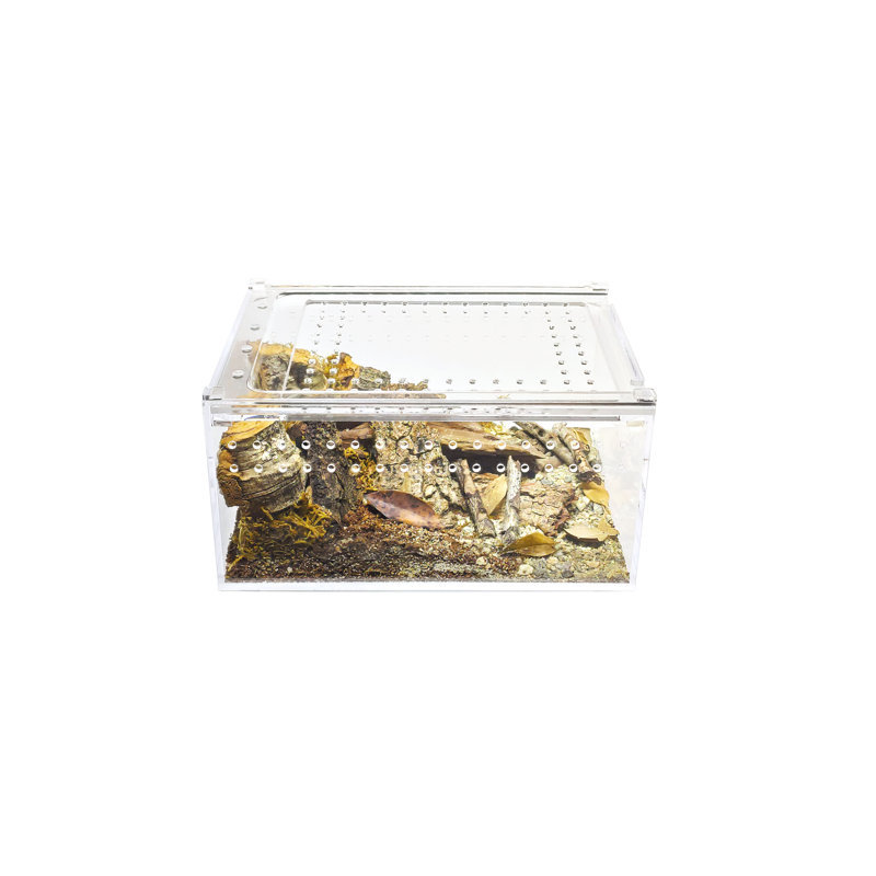 Acrylic Reptile Terrarium, 1 Gallon - 4"H x 6"W x 8"D