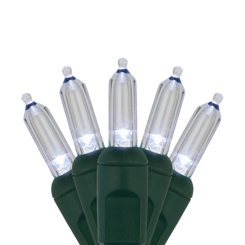 25.5' Steady LED String Lights, Cool White