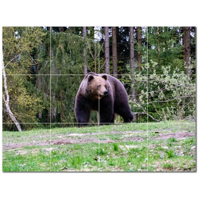 Bear Photo 12'' x 12'' Satin Ceramic Decorative Mural