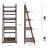 Armisha Ladder Bookcase