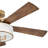 56" Hampton 5 - Blade LED Standard Ceiling Fan with Wall Control and Light Kit Included-1335761968-1335761971