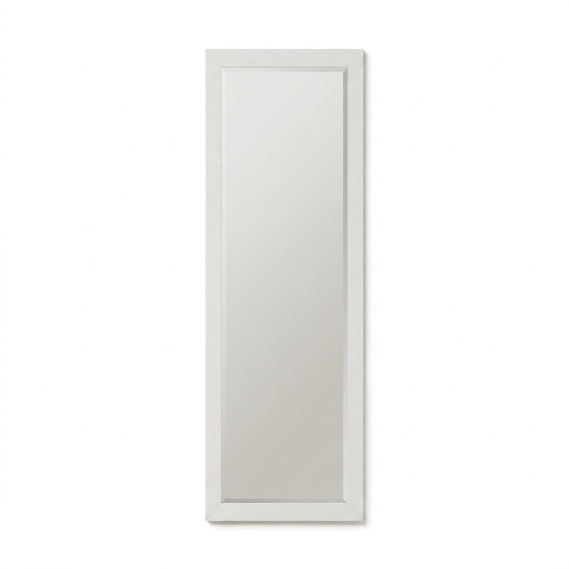 Ovea 16" x 41" Accent Mirror