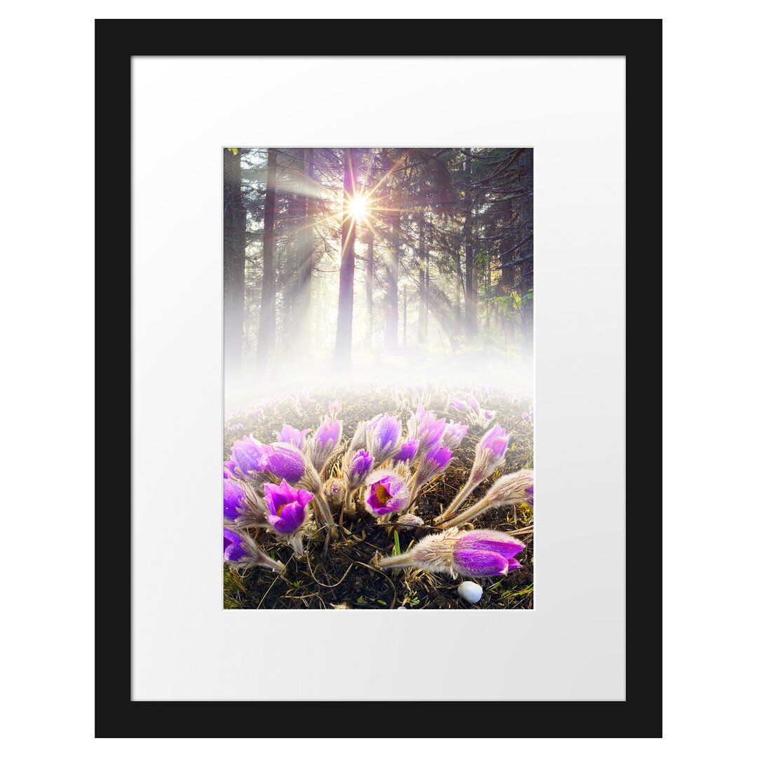 Gerahmtes Poster Lila Blumen im Wald