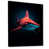 Black Floater Framed