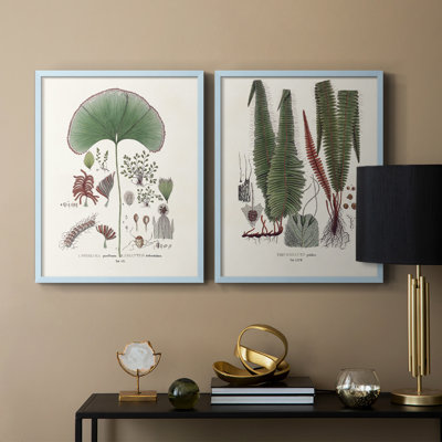 Botanical Society Ferns III - reproduction encadrée de qualité supérieure - prête à être accrochée - aucun clou requis - aucun clou requis