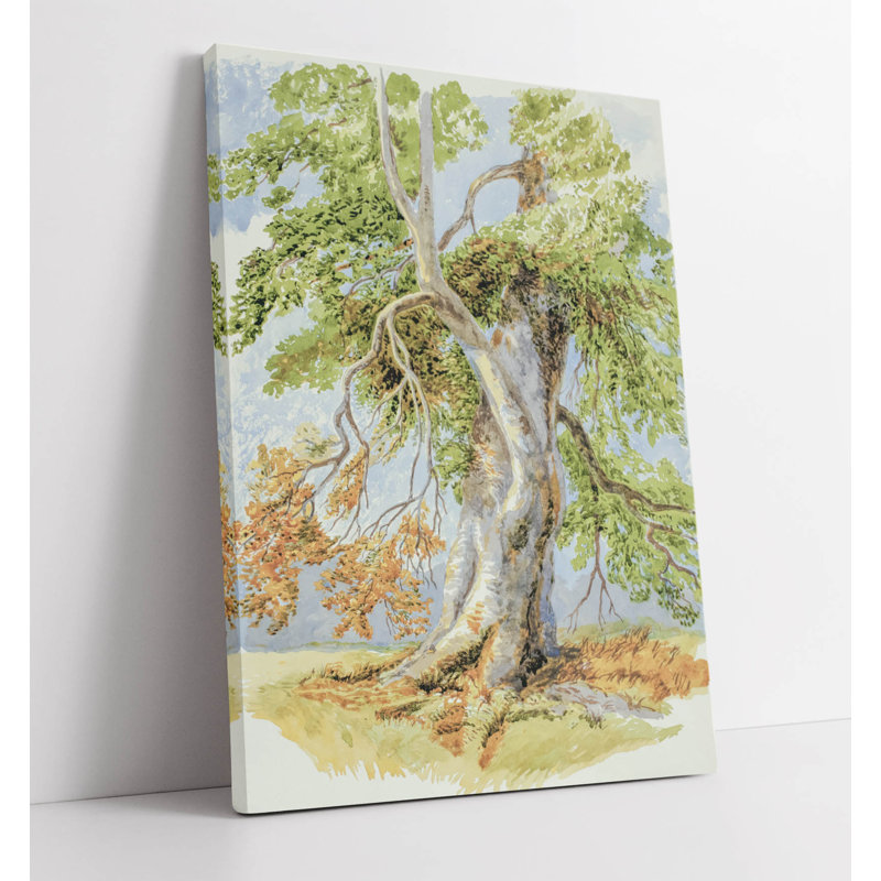 David Hall McKewan, Gnarled tree Canvas Wall Art Print Picture, 119.38 cm H x 81.28 cm W