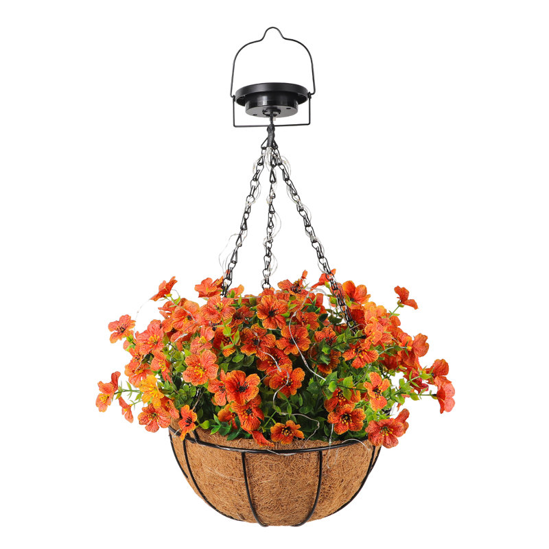 Hanging Basket Arrangement
