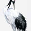 Kumano One Painted Crane 2-Panel Wall Mural