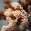 26'' Faux Pinecone Branch