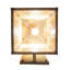 1 - Light Armed Sconce