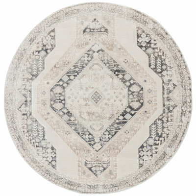 Allaryce Area Rug