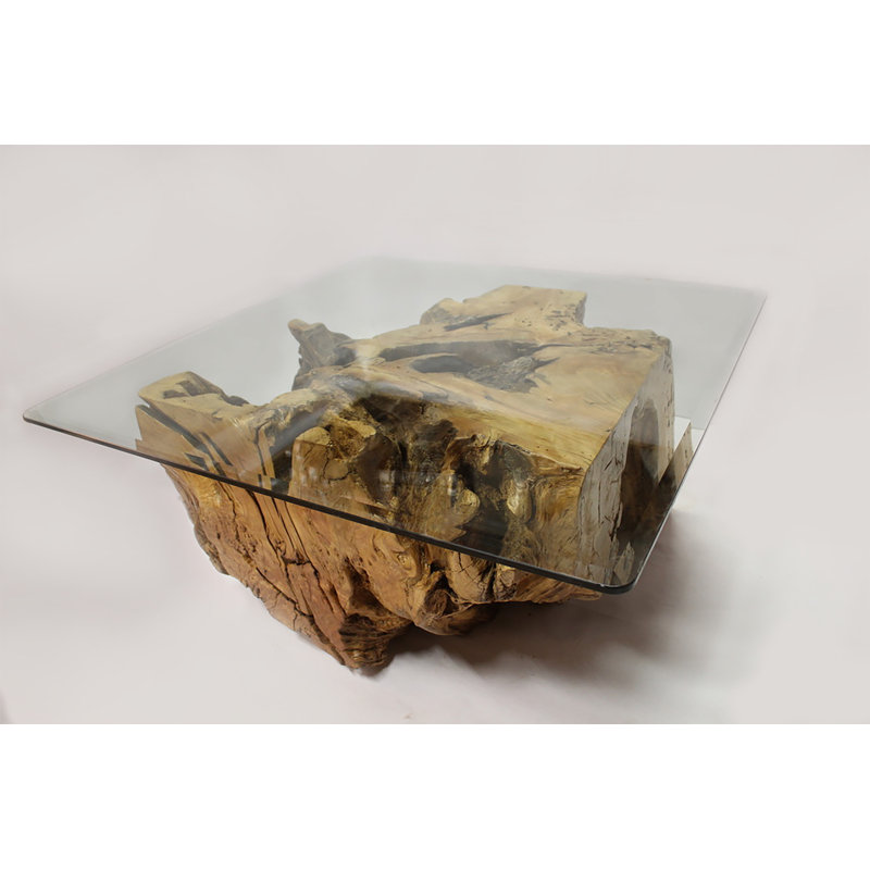 Table basse Wild Cherry Root