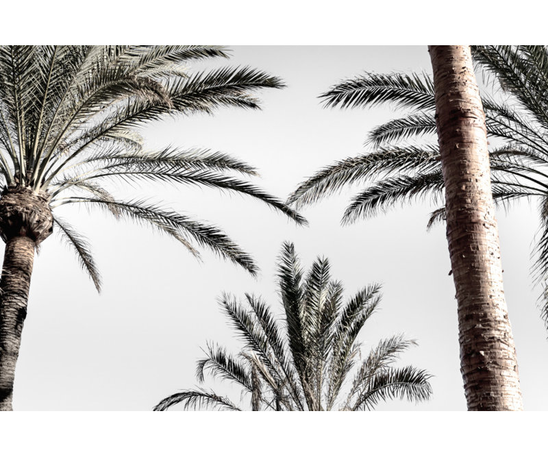 1 Piece Wrapped Canvas Wall Art, 60.96cm H x 91.44cm W