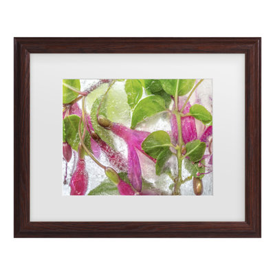 Bolog Mandy Disher Fuchsia Freeze Matted Framed Art