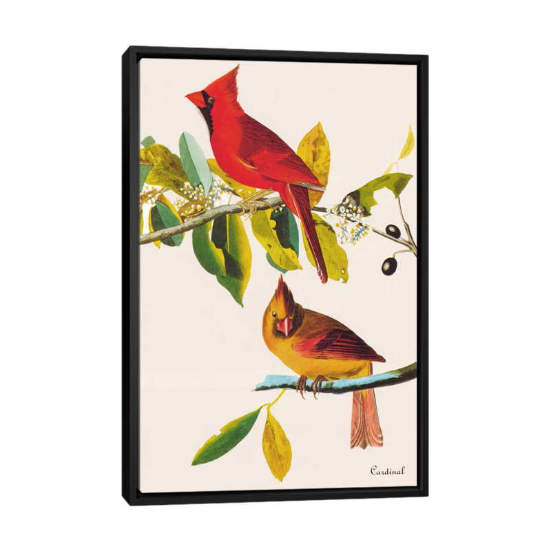 «Cardinal» par John James Audubon - reproduction, H 26 po x l 18 po x P 1,5 po, Toile avec cadre noir, Pas de tapis