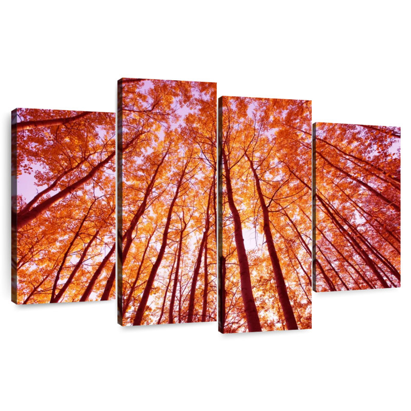 Alvord, forêt d'automne lumineuse, H 22 po x l 36 po