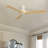 Karlena 52'' Dimmable Ceiling Fan with Lights and Remote Control 3CCT Reversible DC Motor Timer Memory-1749798892