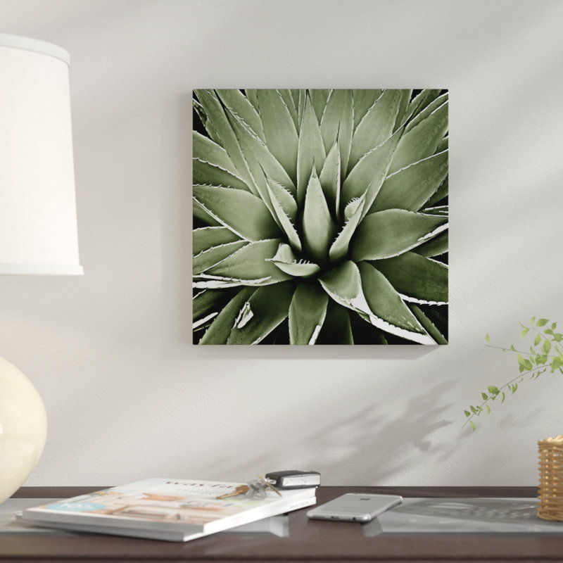«Succulent III» par Mia Jensen - reproduction d'art sur toile tendue, H 12 po x l 12 po x P 1,5 po, Papier d'art encadré noir