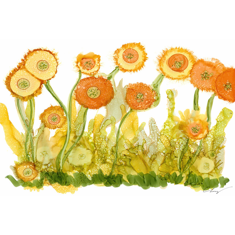 Sunlit Poppies II - Wrapped Canvas Painting, 51cm H x 76cm W x 3.8cm D