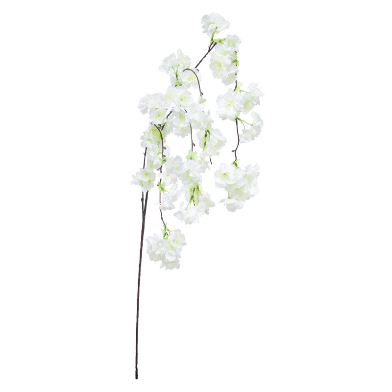 Tige de fleur de cerisier en fleurs, Blanc crème