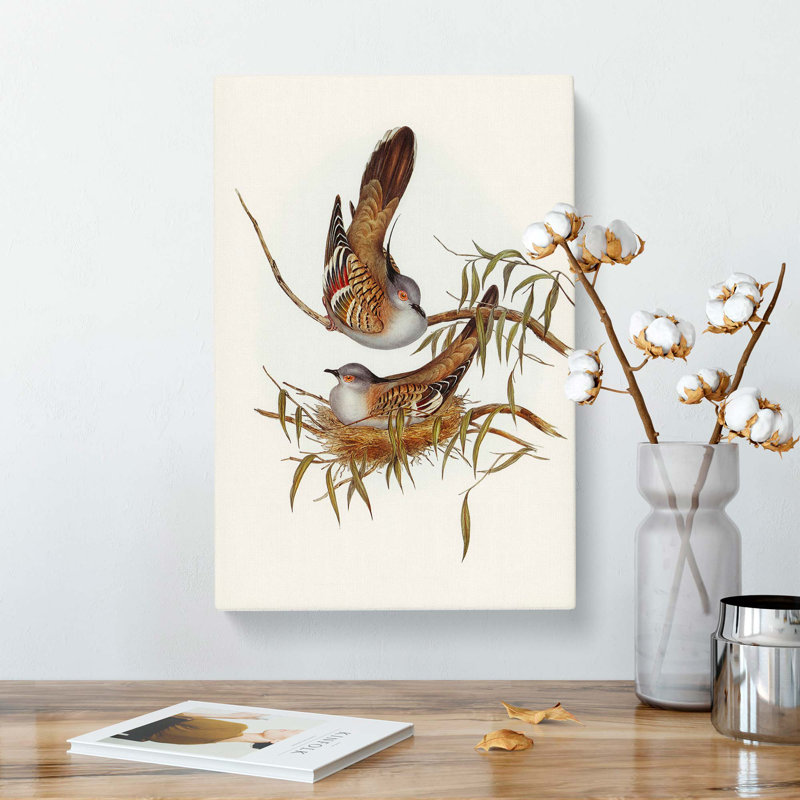 Crested Pigeons by Elizabeth Gould - Wrapped Canvas, 50cm H x 35cm W x 3cm D