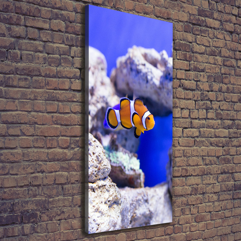 Nemo Fish - Wrapped Canvas Print