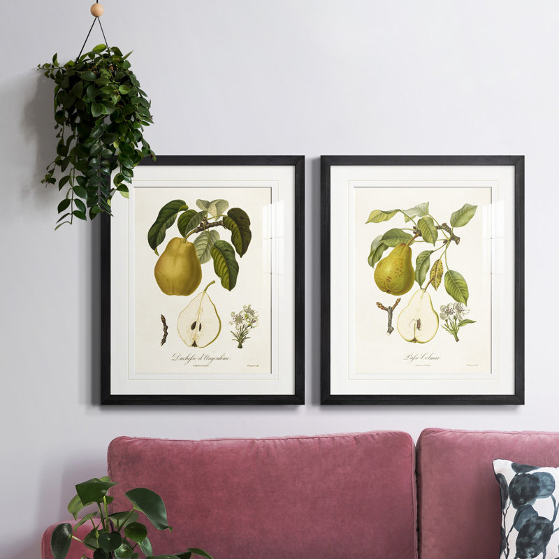 Vintage Pears I, reproduction encadrée de qualité supérieure - prête à être accrochée