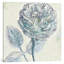 Belle Fleur III, impression sur toile tendue-18746489-74270744-74270746