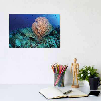 Green Sea Turtle Near A Pink Gorgonian Sea Fan, North Sulawesi 1 Piece Wrapped Canvas Wall Art